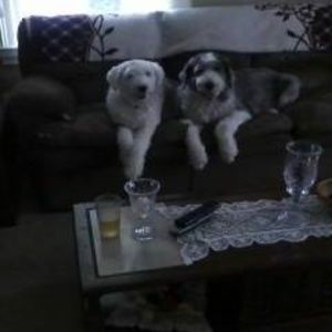 Meet your Posher, Mary